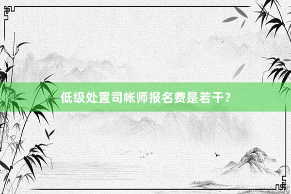 低级处置司帐师报名费是若干？